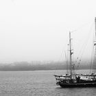 La niebla y el río.