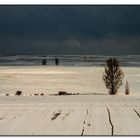 La nieve cubre Tierra de Campos