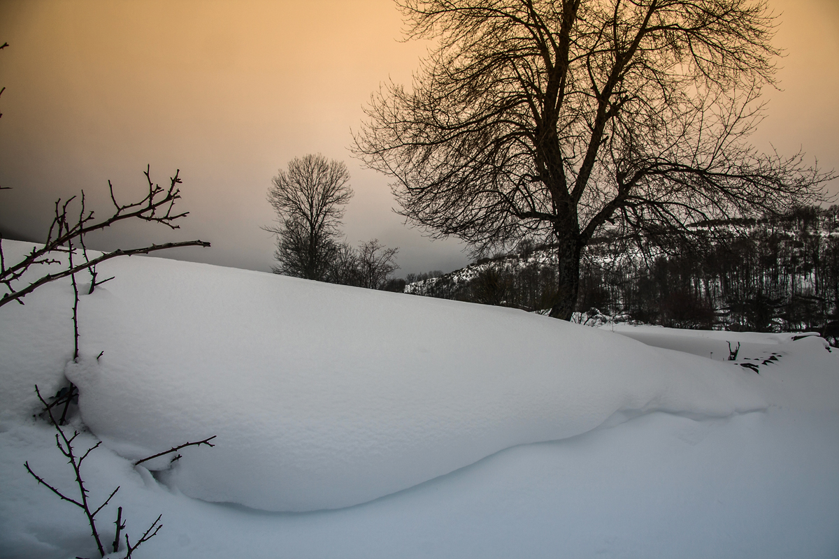 La nieve de febrero