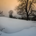 La nieve de febrero