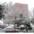 La nieve (Invierno)