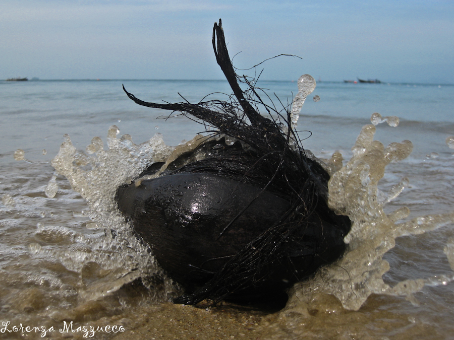 La noce alla deriva