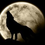 La noche del lobo