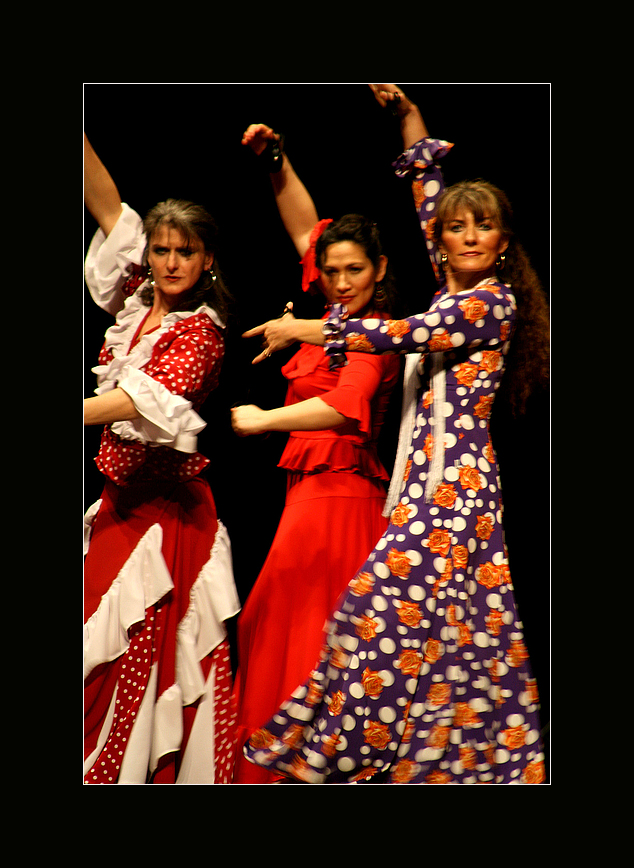 La noche flamenca