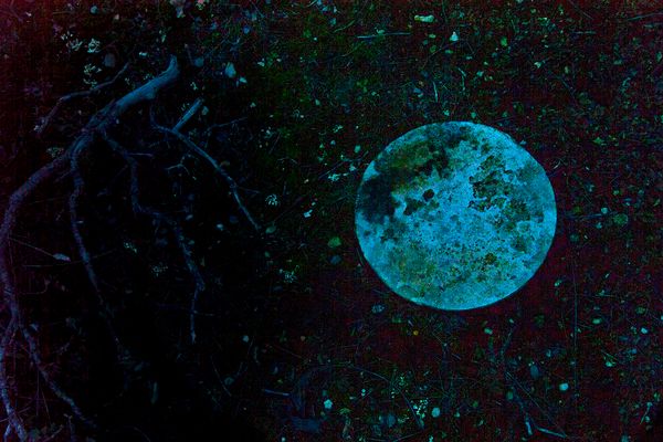 La noche que soñé Vítebsk III