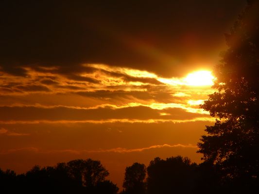 La noche viene pronto