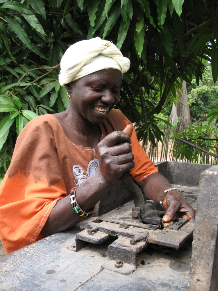 la noix de cajou en casamance c'est une affaire de femme!