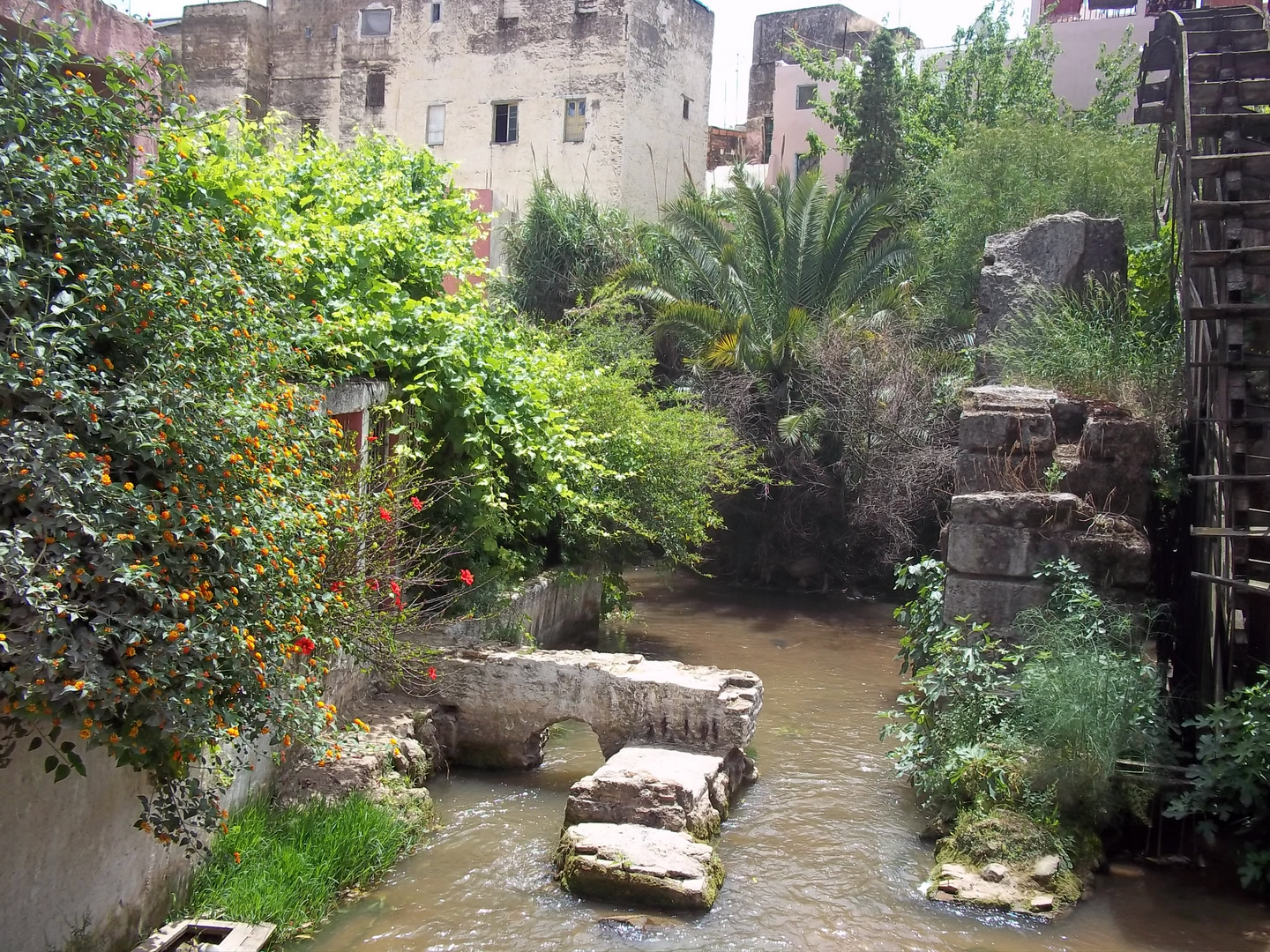 la norea du jardin public de fes