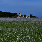 la Normandie dans son lin, seul