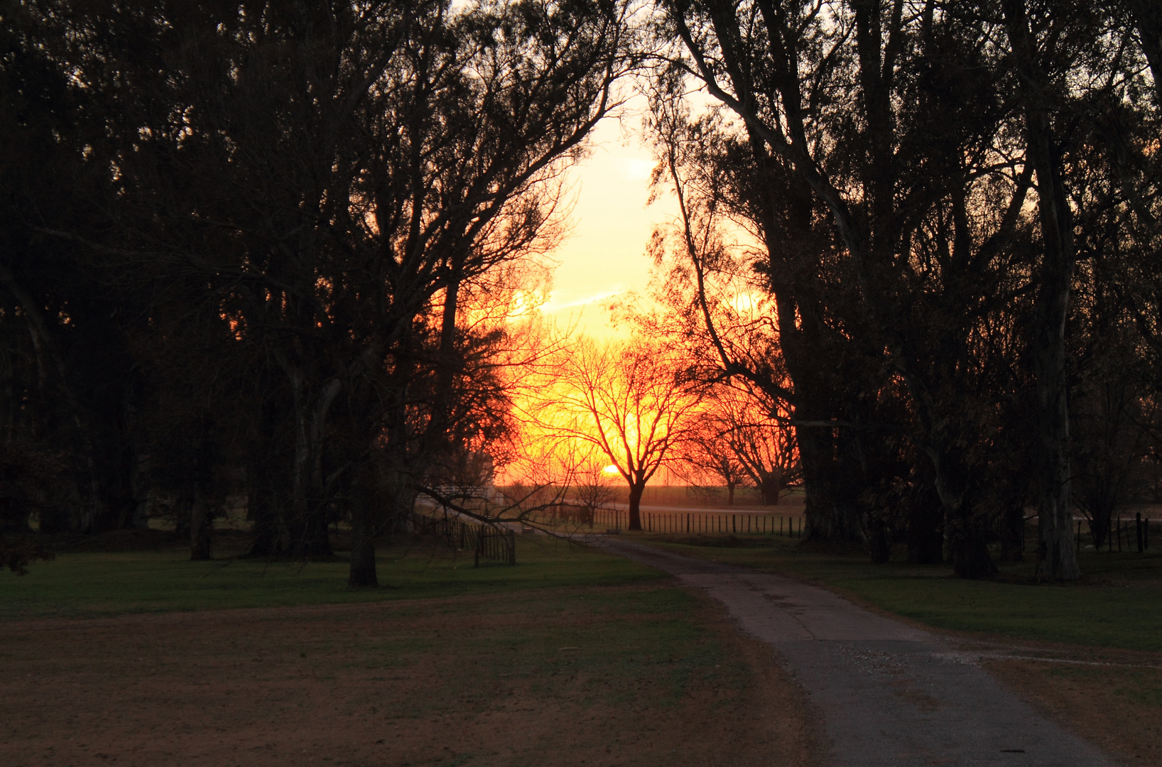 La nostalgia de una tarde de Invierno