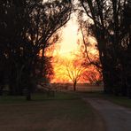 La nostalgia de una tarde de Invierno