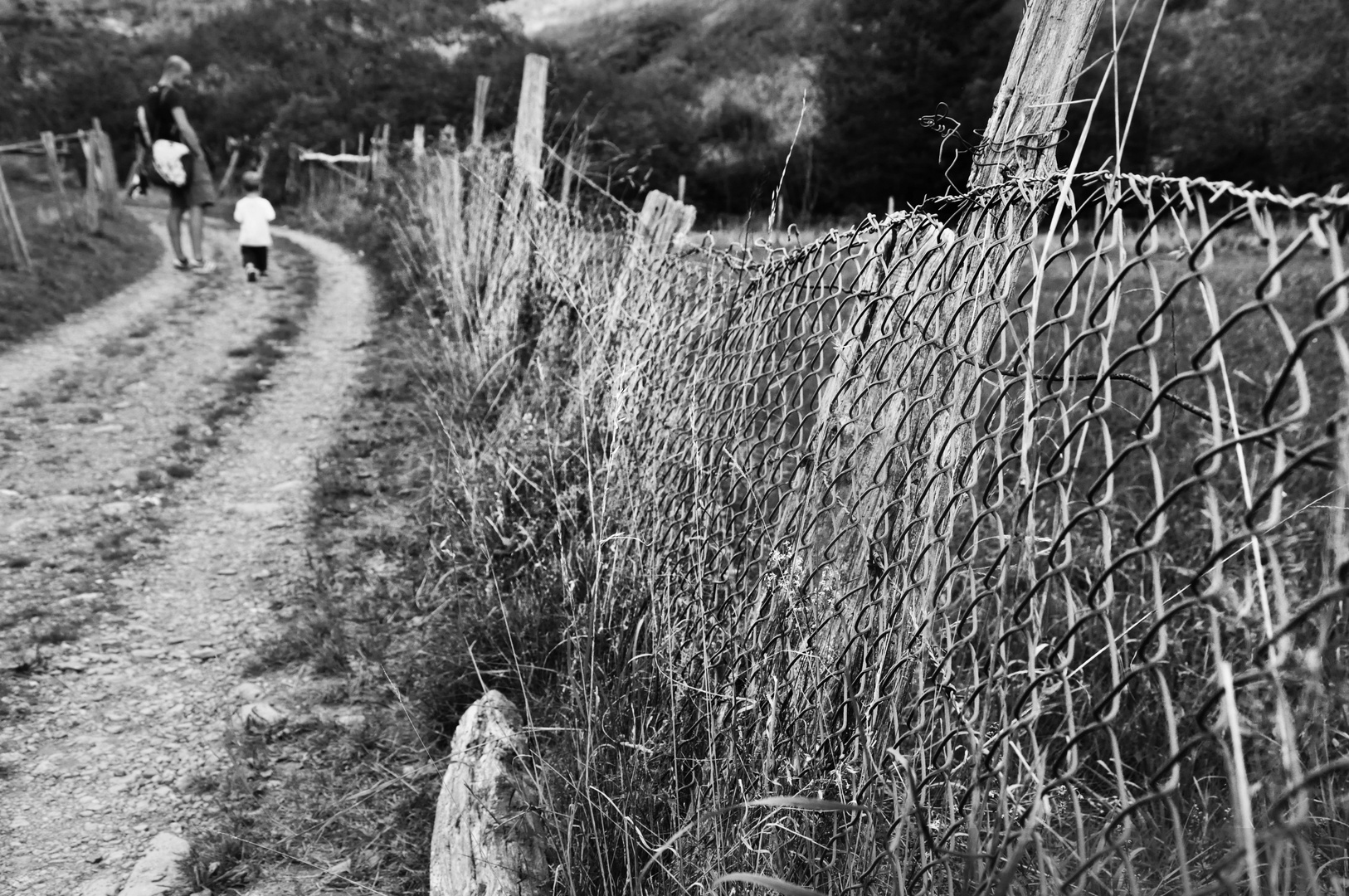 la nostra strada