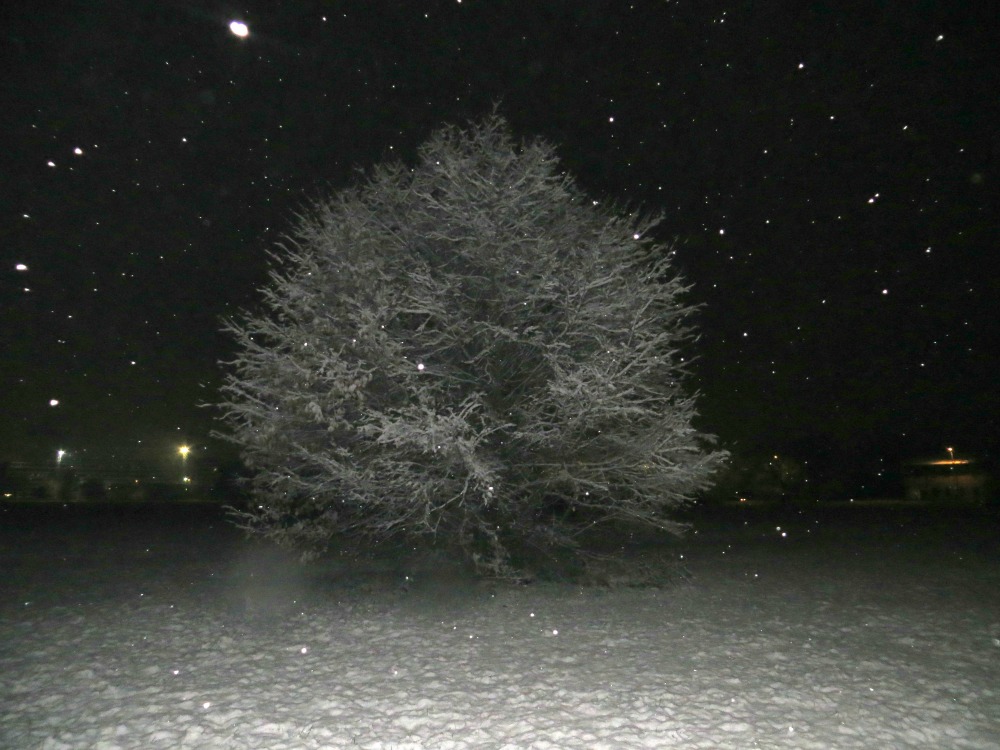 La Notte dei desideri