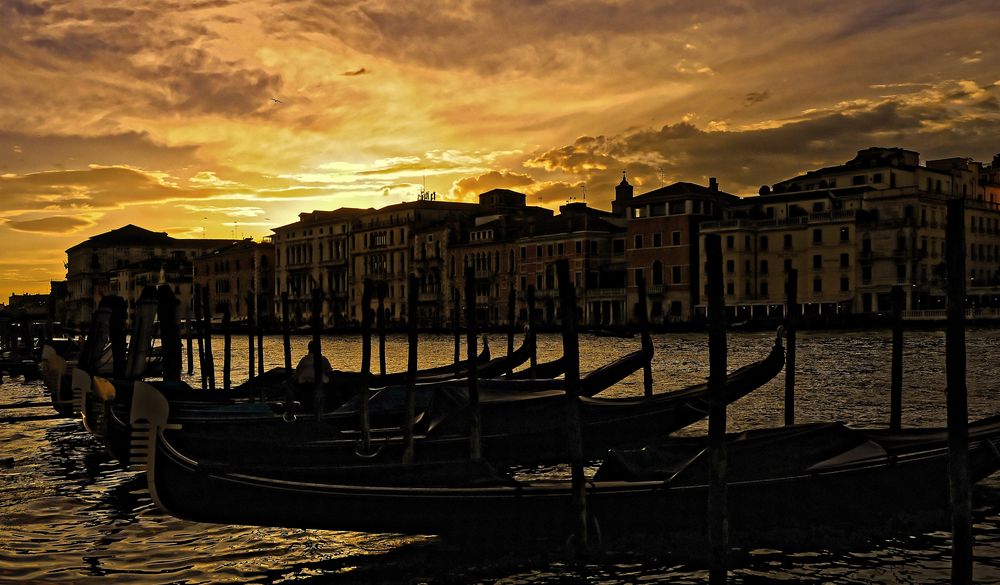 La notte splende a venezia