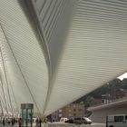 La nouvelle Gare des Guillemins (photo 3)