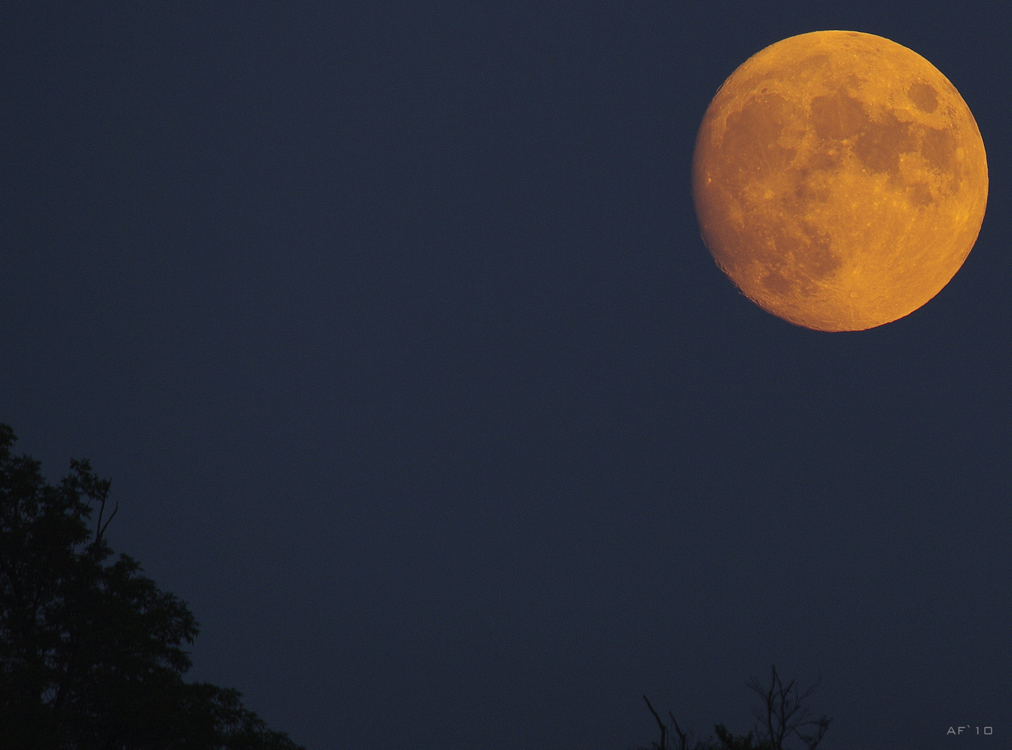 la nuit de la pleine lune