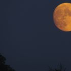 la nuit de la pleine lune