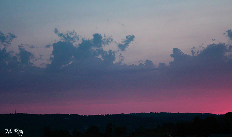 LA NUIT EN ROSE