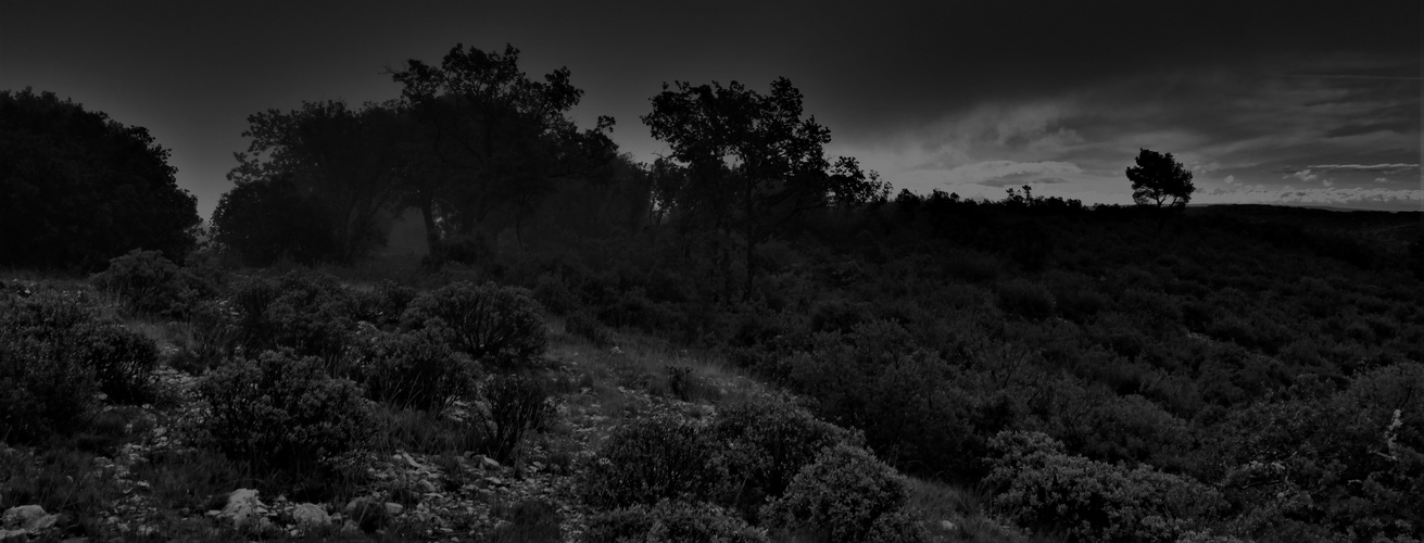 LA NUIT EST DE BON CONSEIL