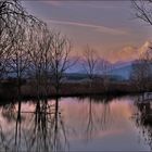 la nuit  gagne le marais inondé ...