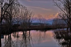 la nuit  gagne le marais inondé ...