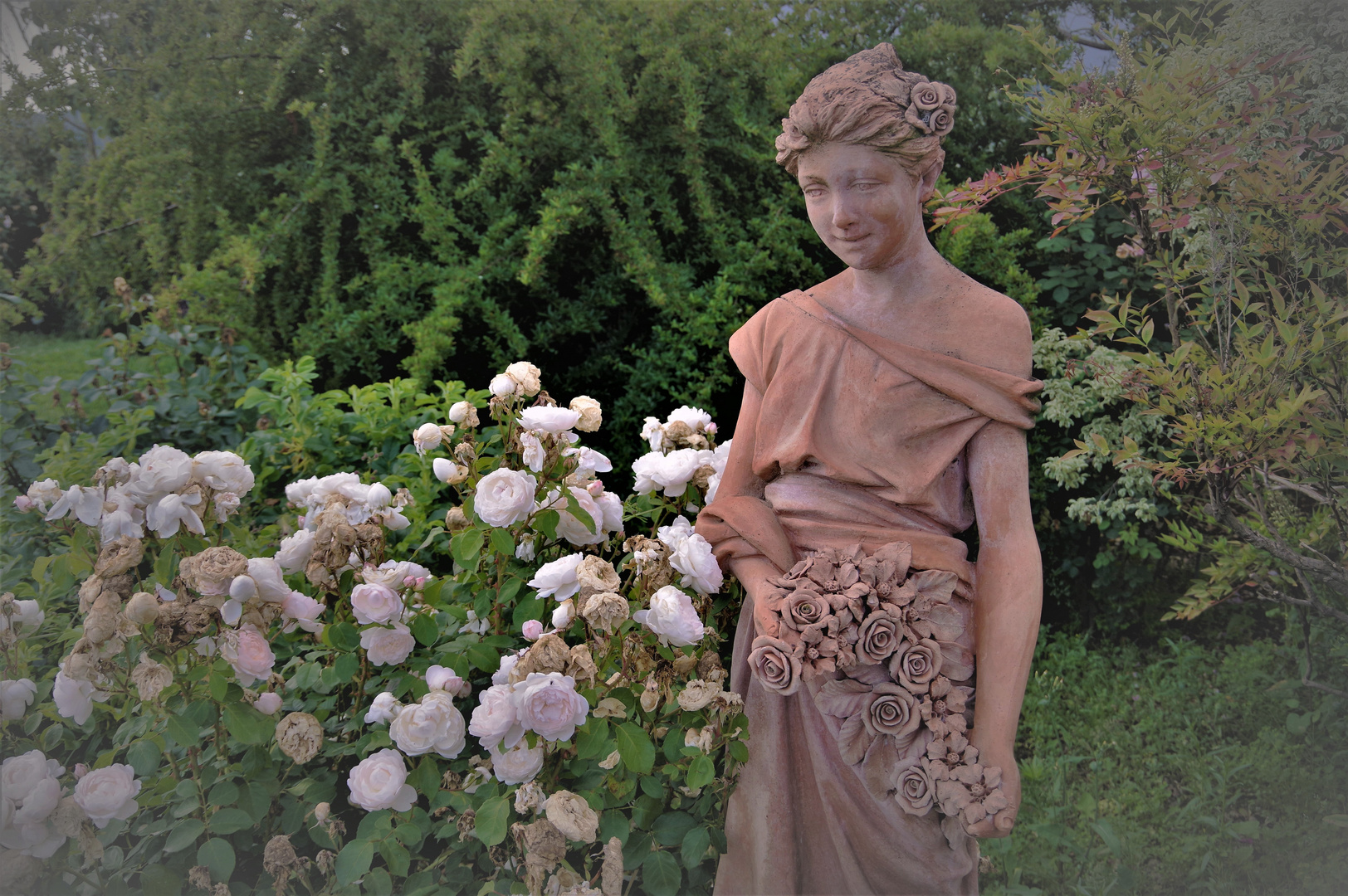 la Nymphe du jardin de roses.....