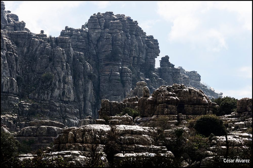 La obra de la Naturaleza