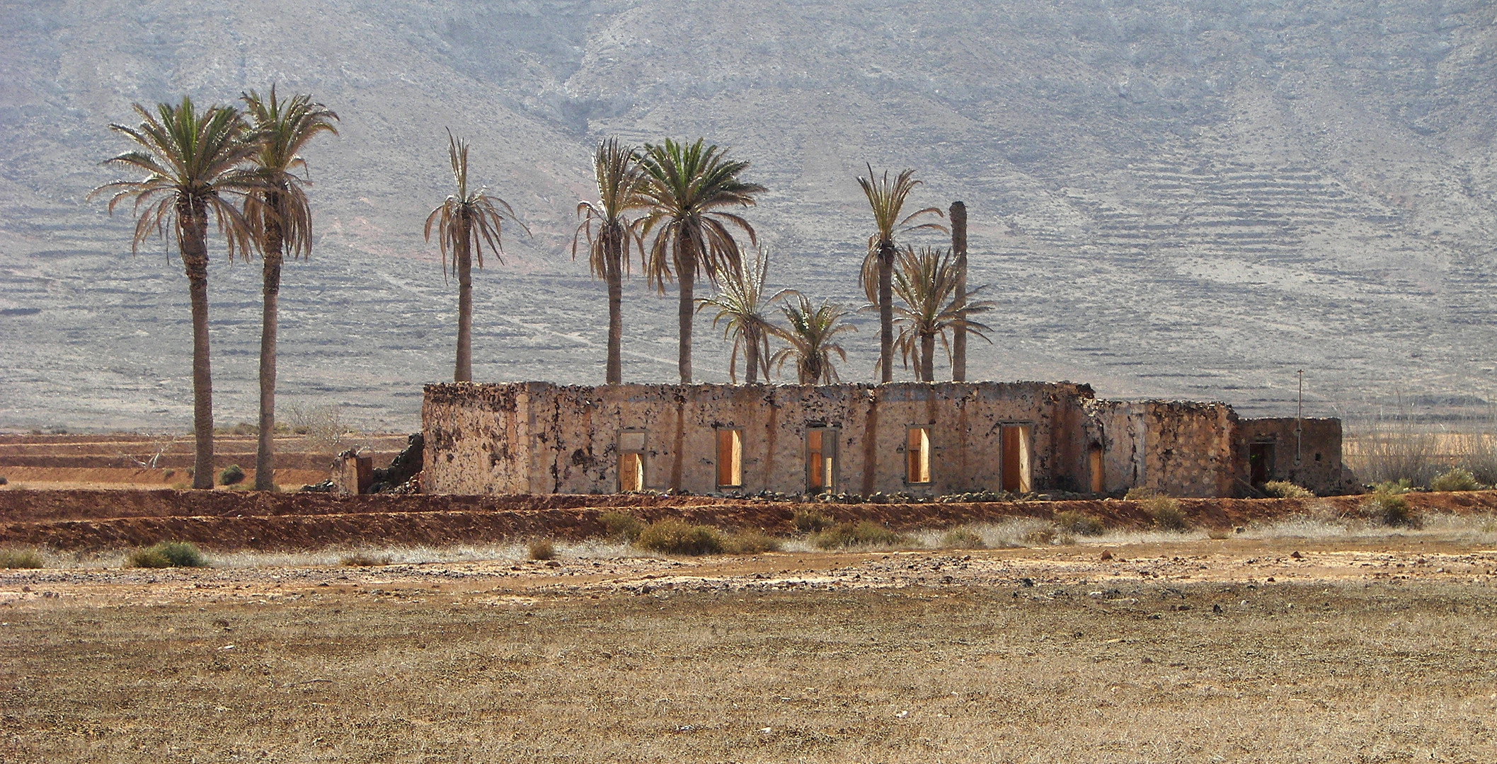 La Olivia Foto Bild Europe Canary Islands Die Kanaren Spain Bilder Auf Fotocommunity