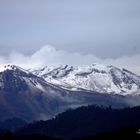 La Olleta y el León