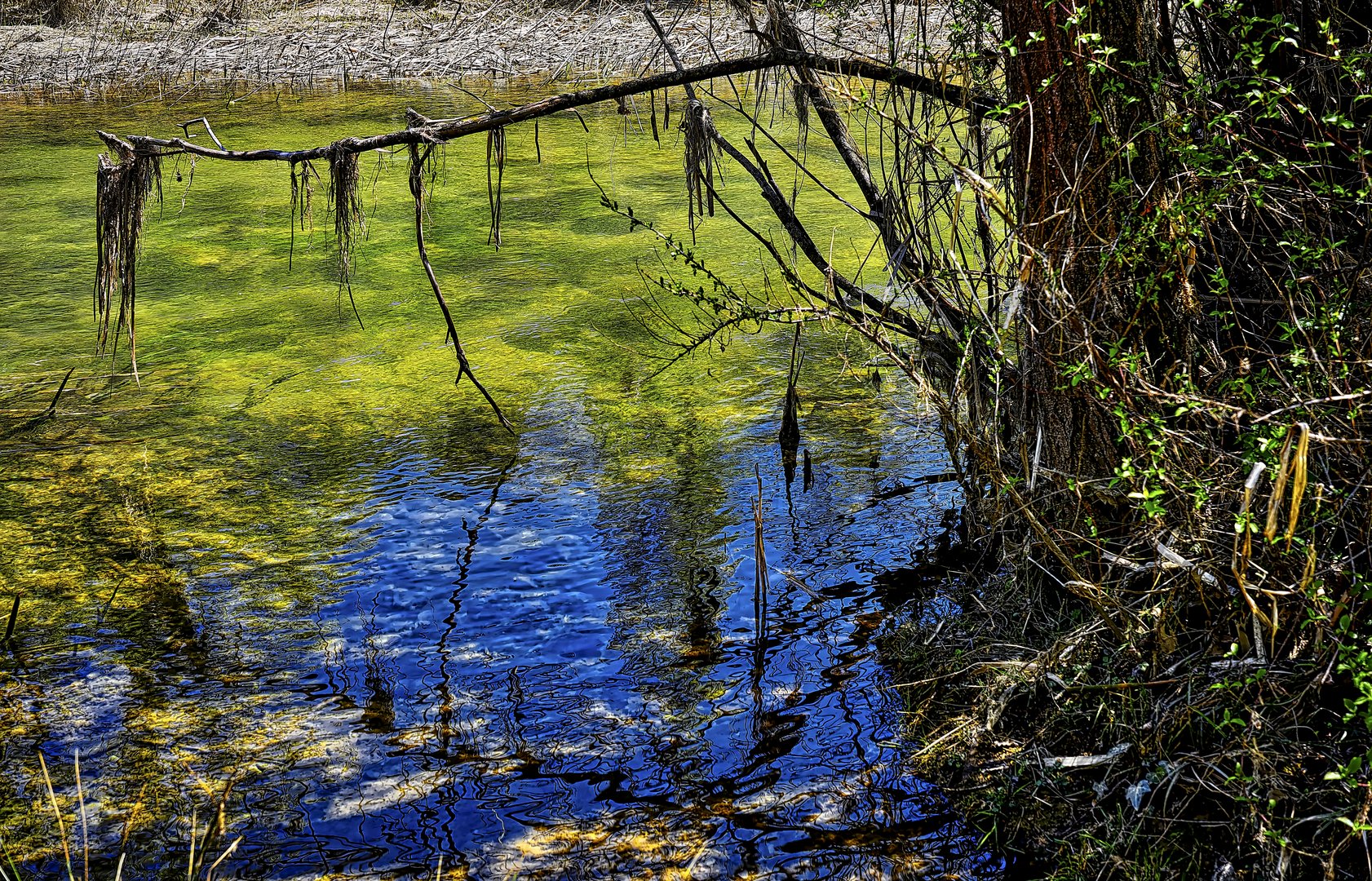 La orilla del río