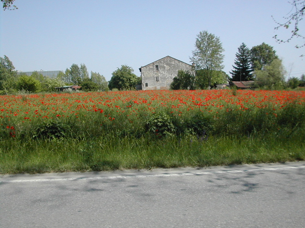 La Padania ieri