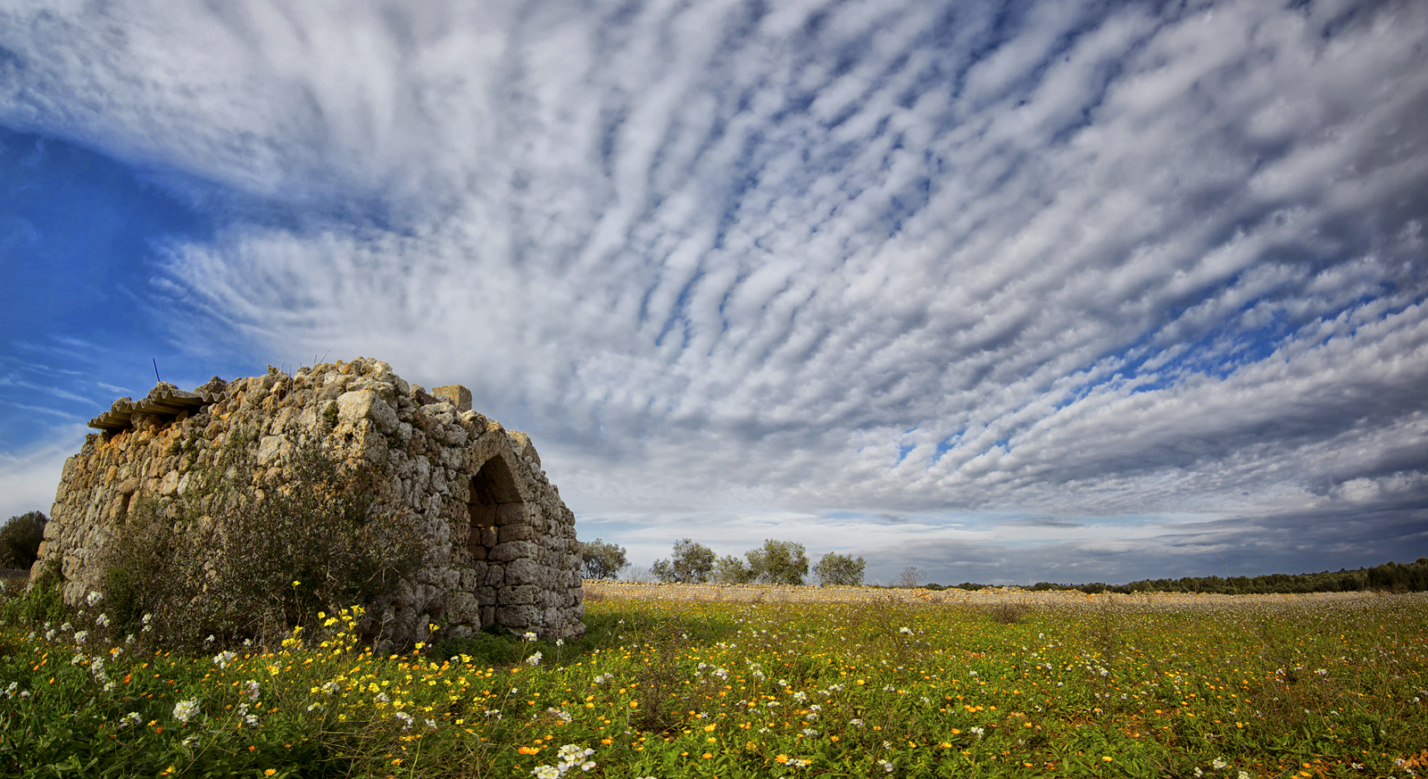 La pajara