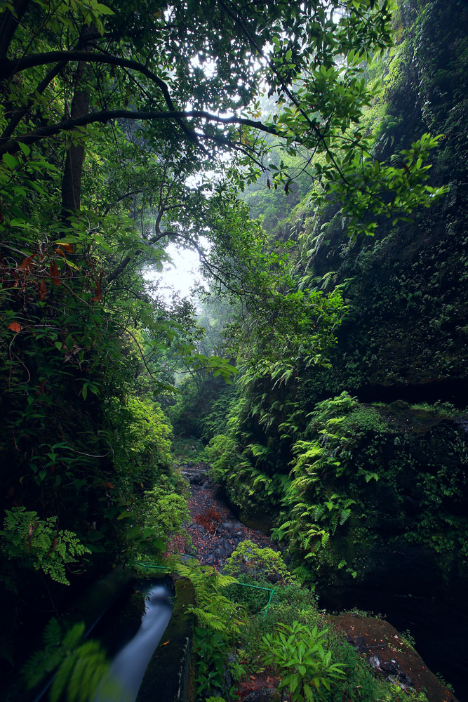 La Palma 01