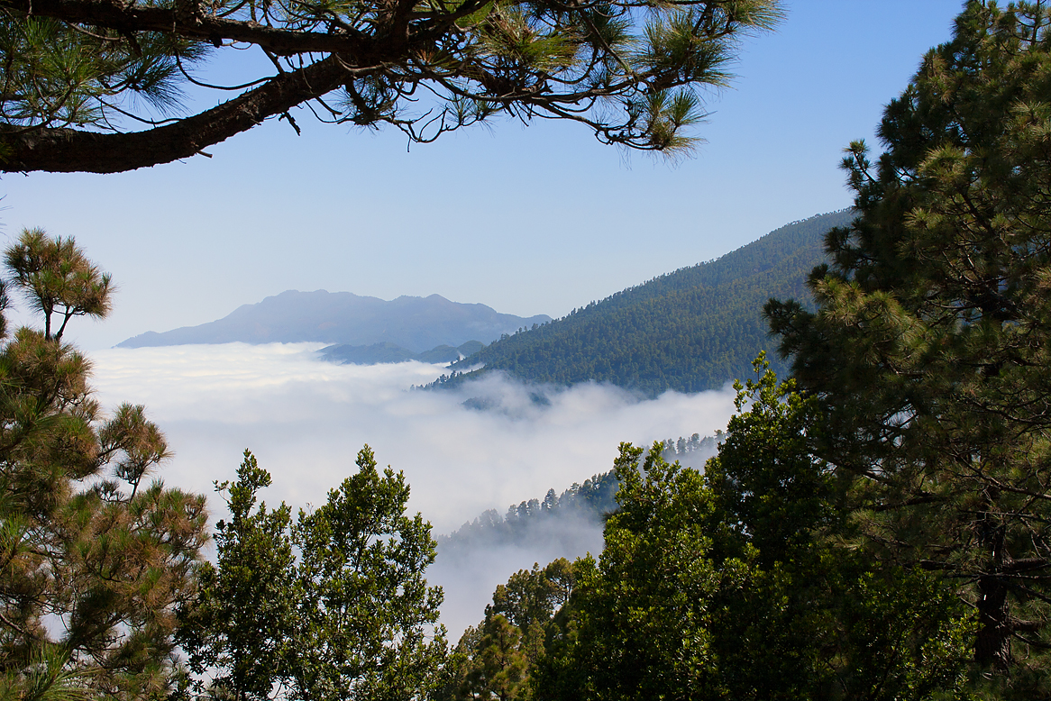 La Palma (1)