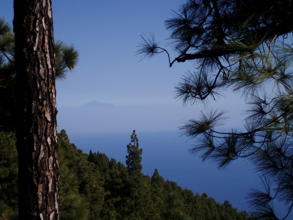 La Palma