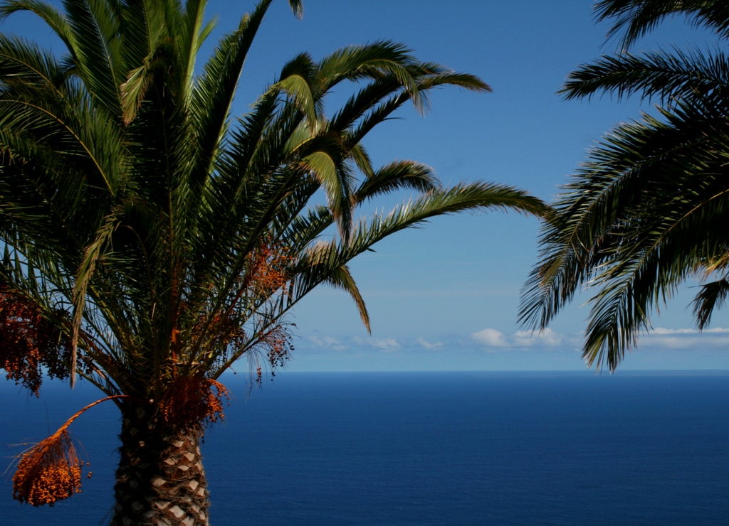 La Palma 2009 - 19