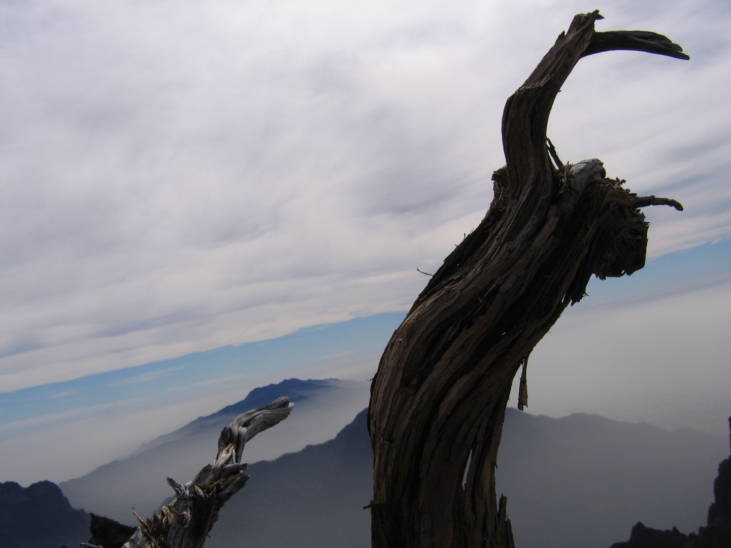 La Palma 2010 Roque de los Muchachos