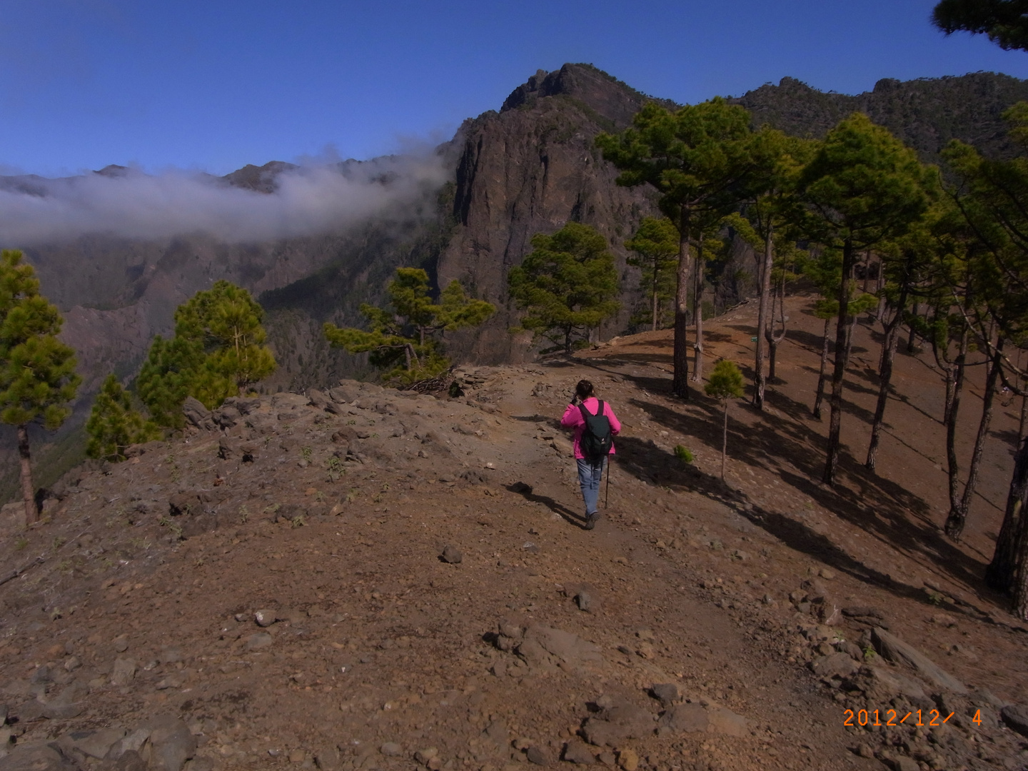 La Palma 2012