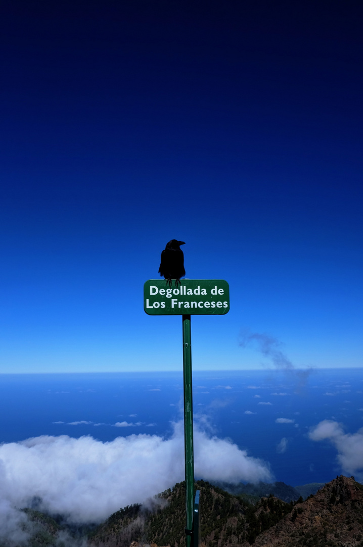 La Palma 2018 - Roque de los Muchachos 8