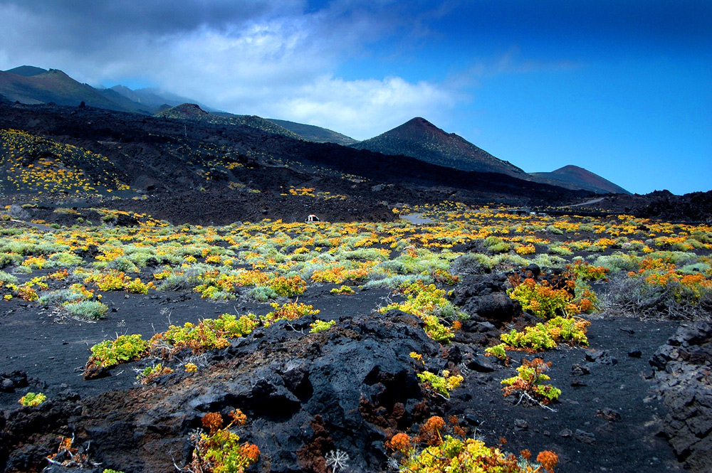 La Palma