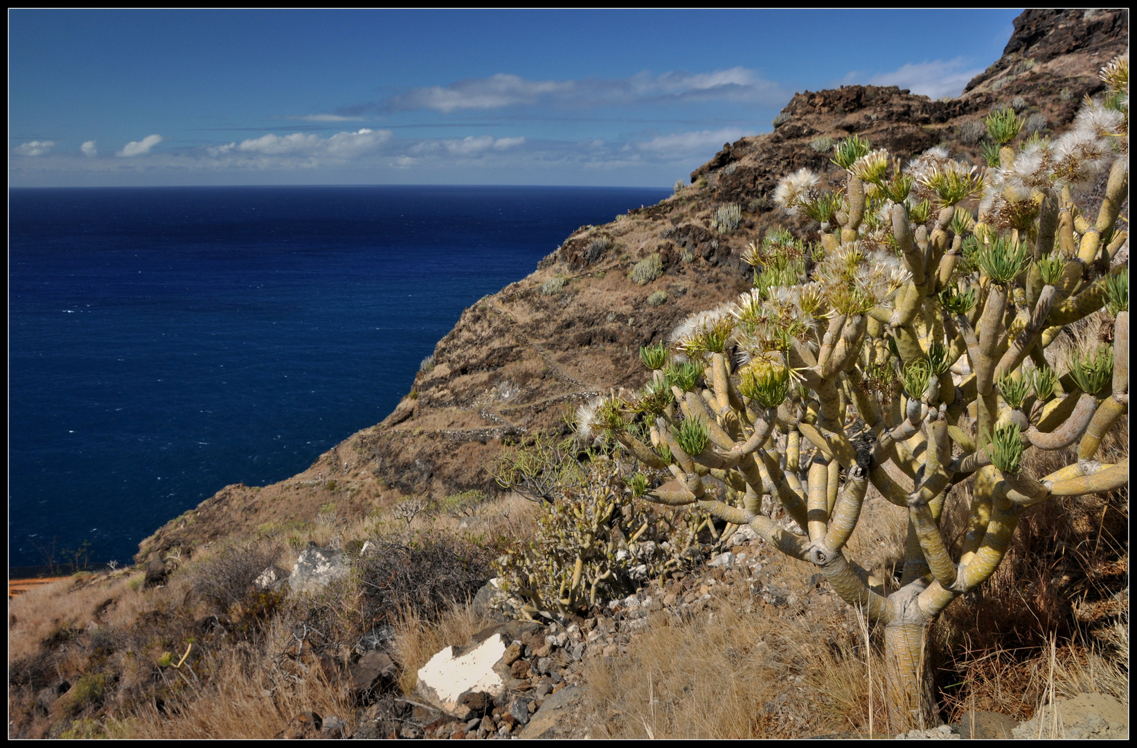 LA PALMA