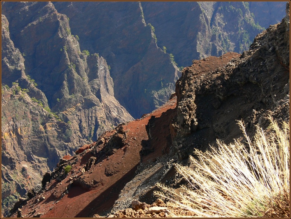 La Palma 8