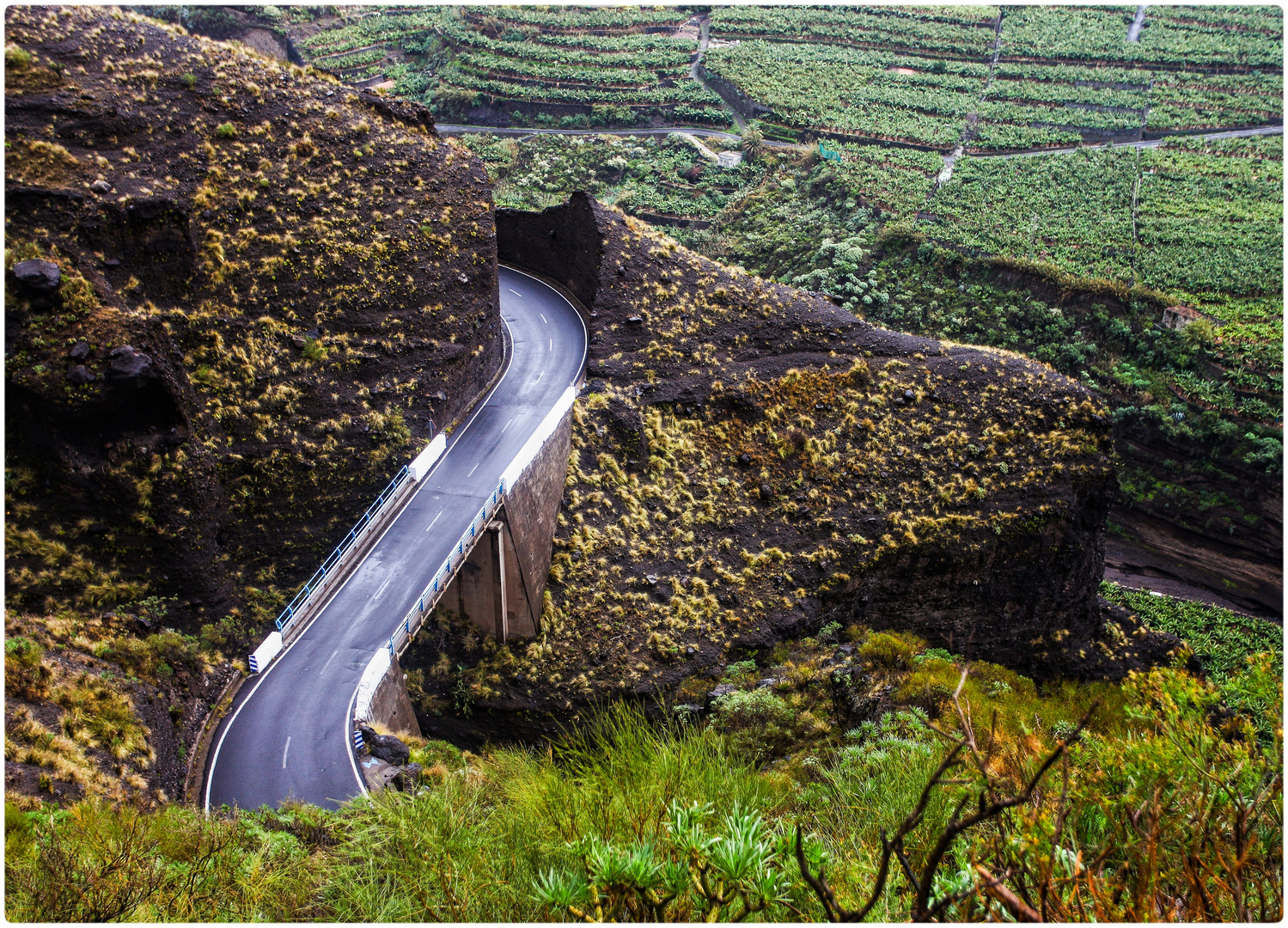 La Palma