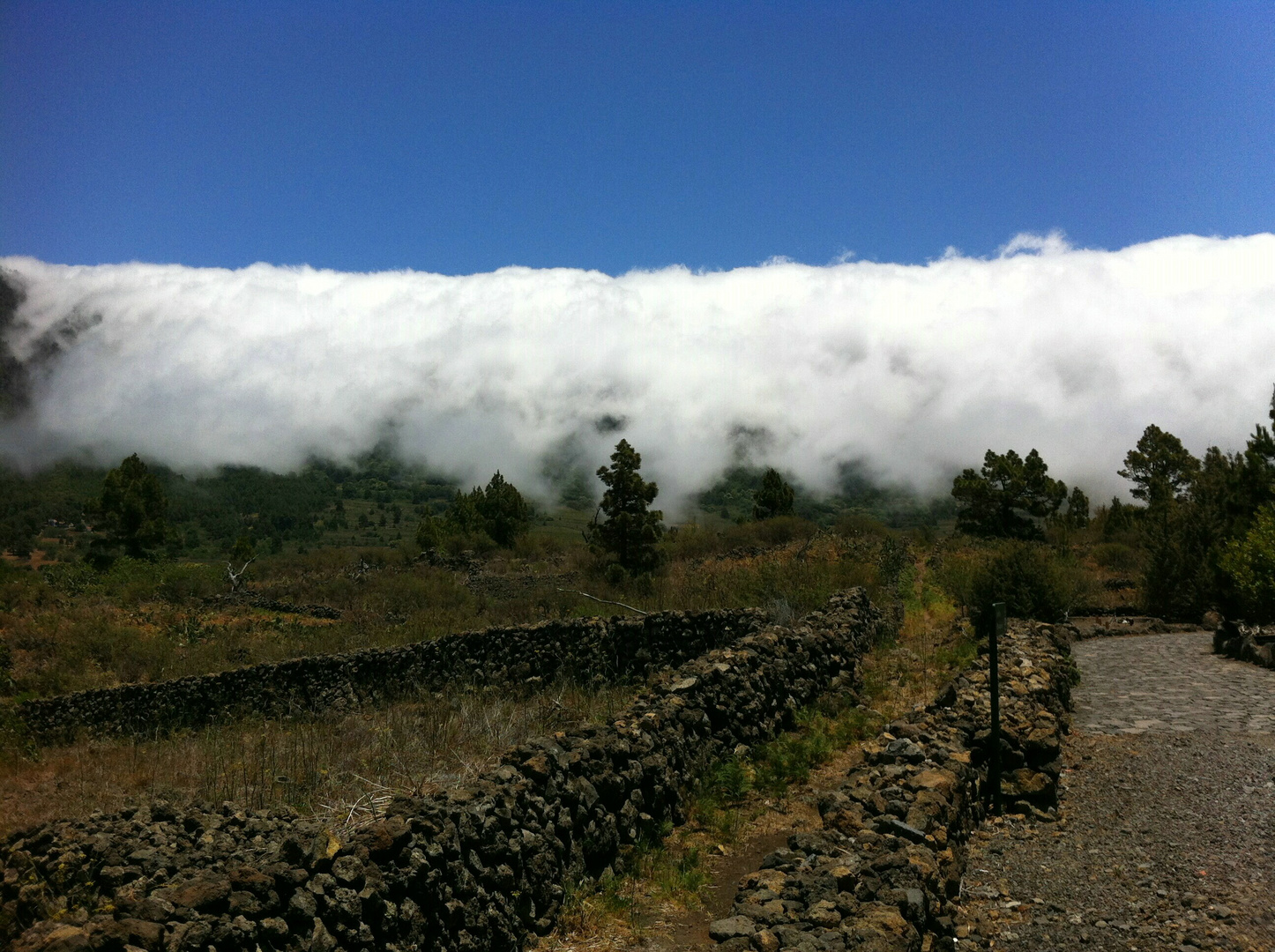 La Palma