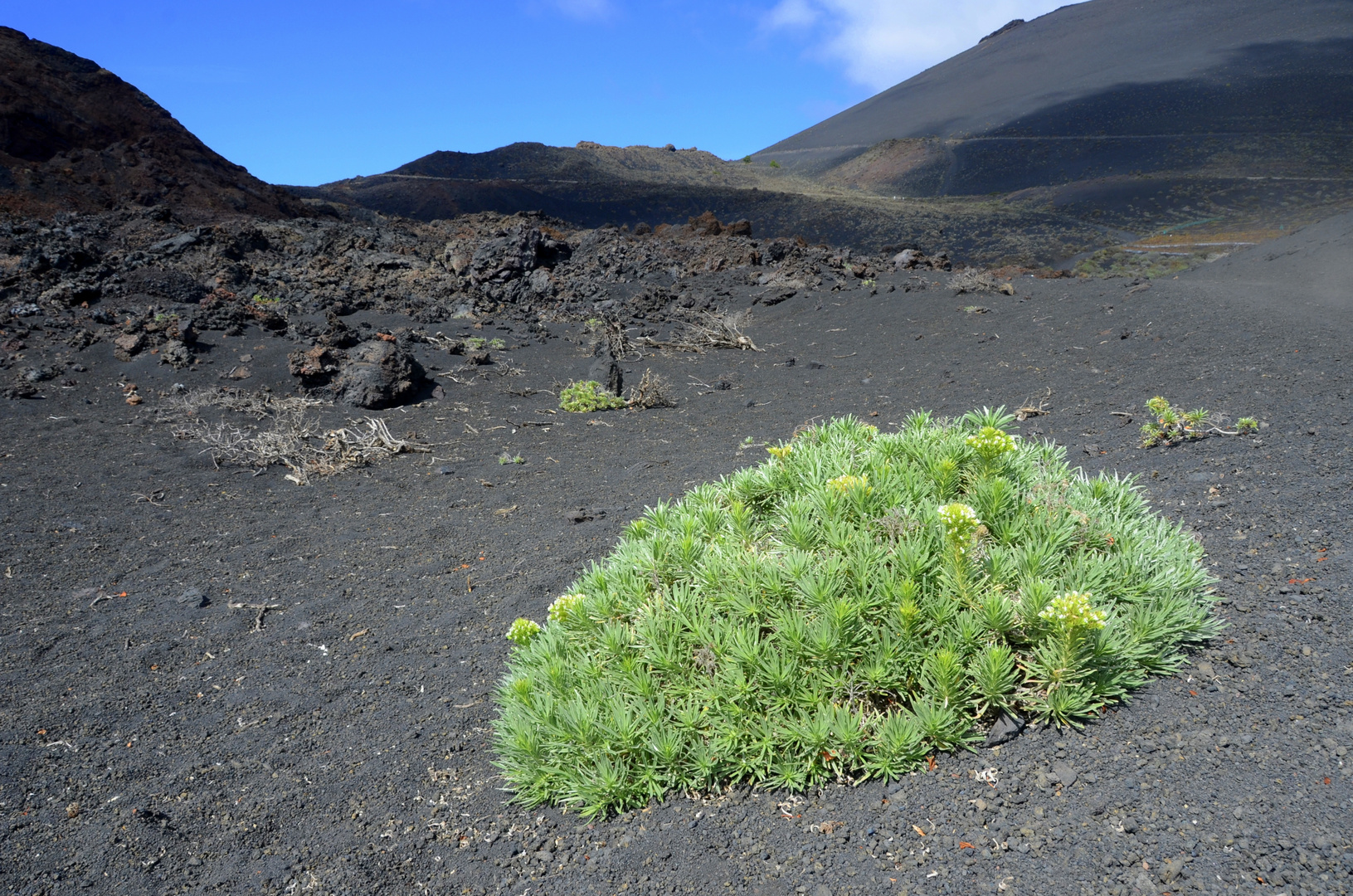 La Palma