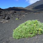 La Palma