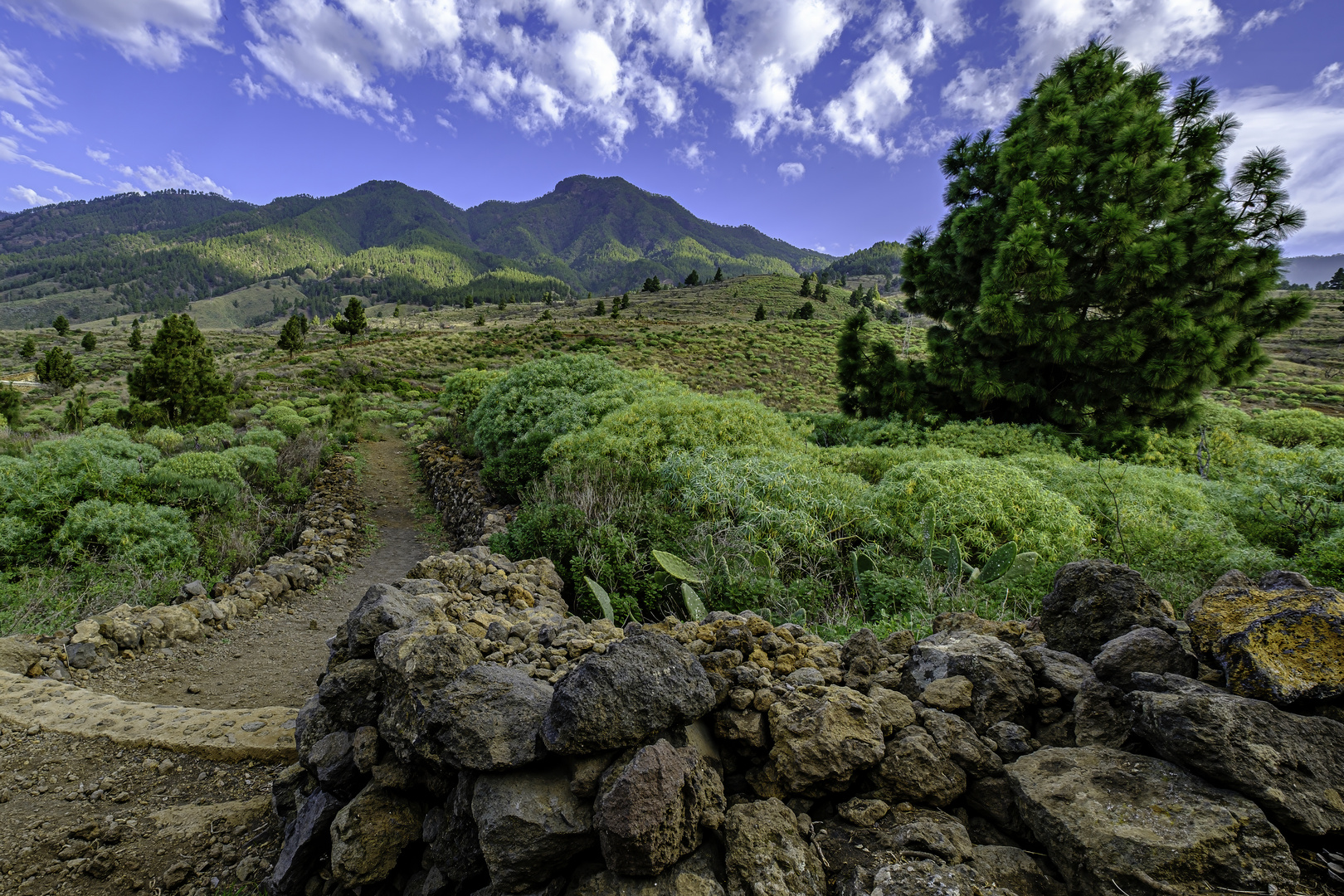 La Palma