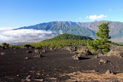 La Palma