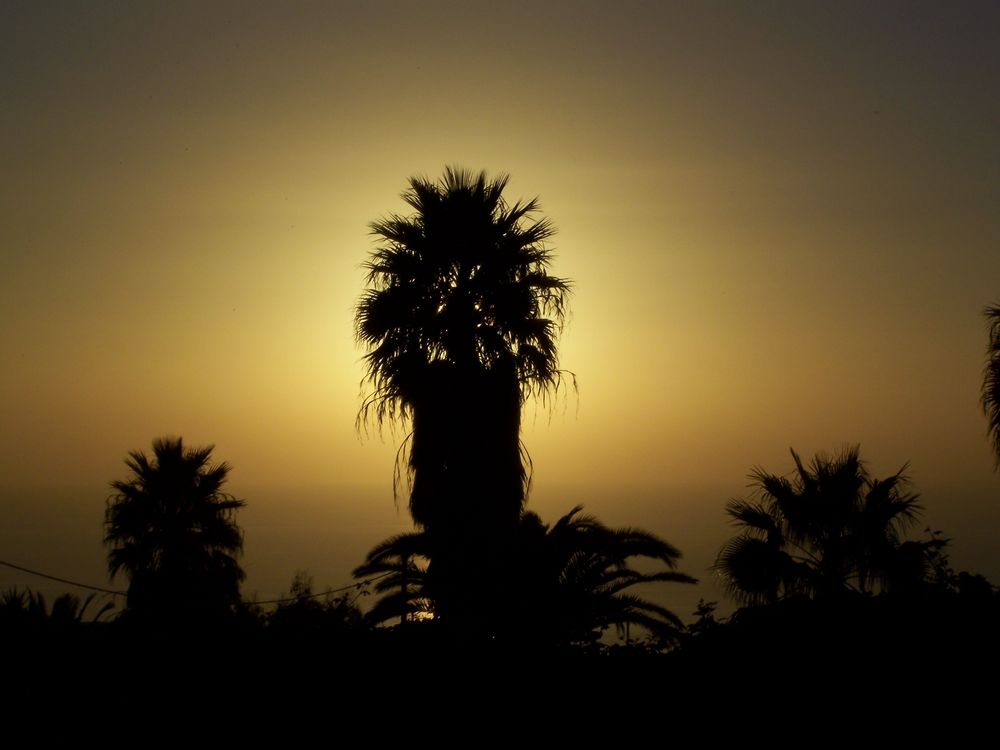 La Palma Abendstimmung