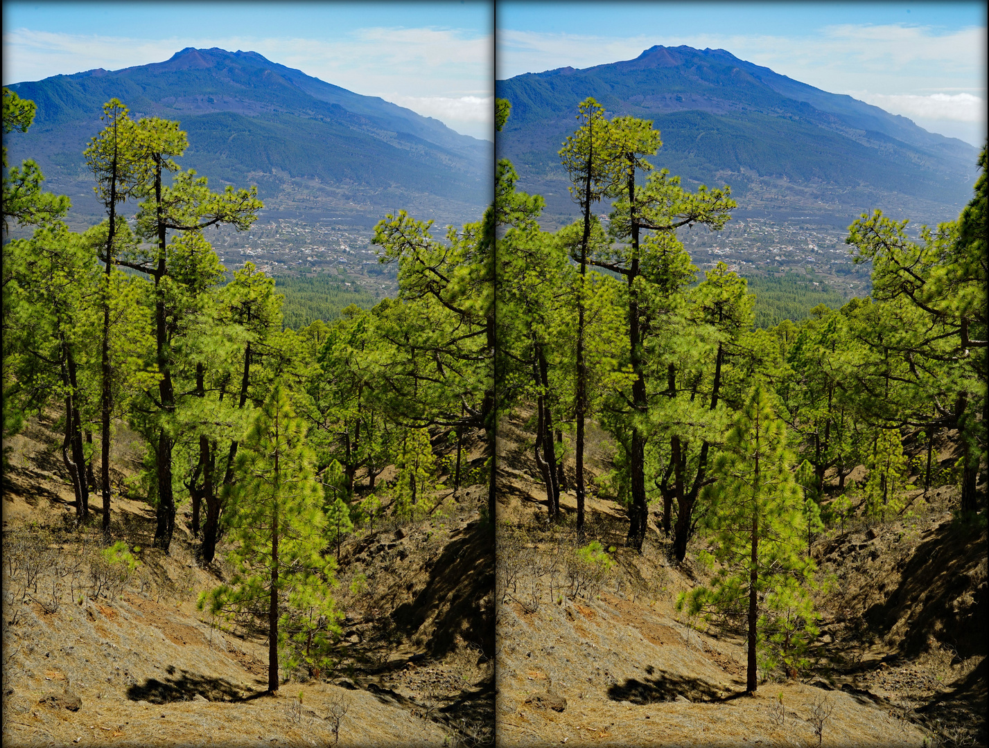 La Palma am Bejenado (3D-X-View)